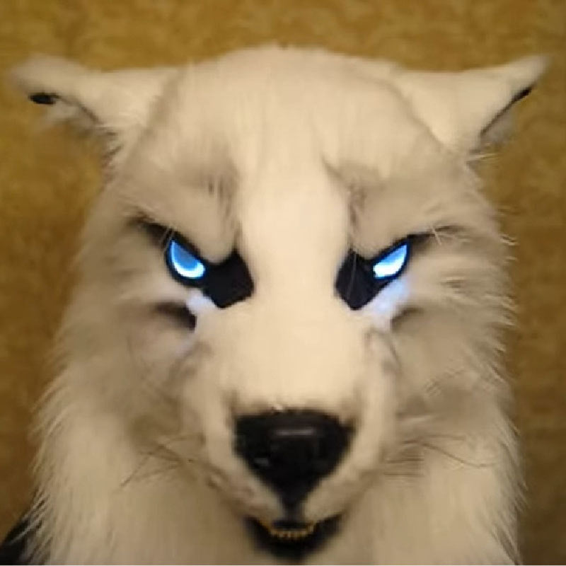 Hundi peapael