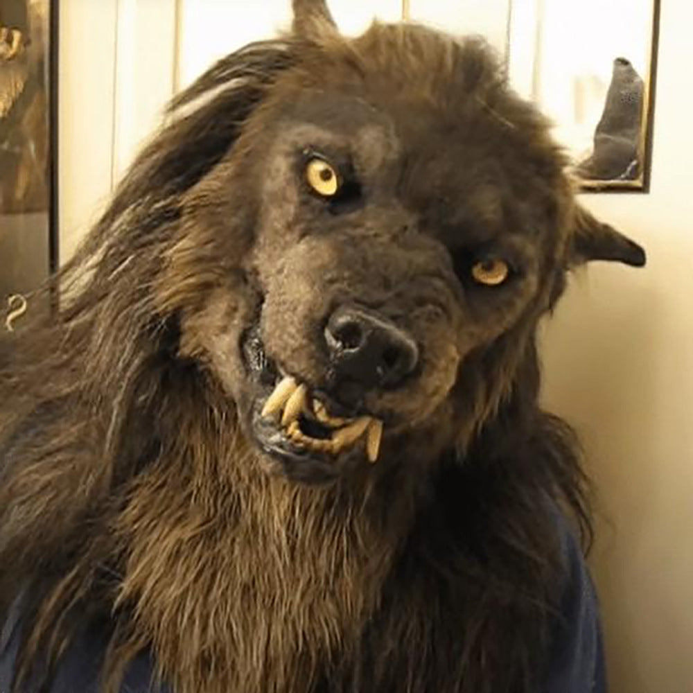 Hundi peapael