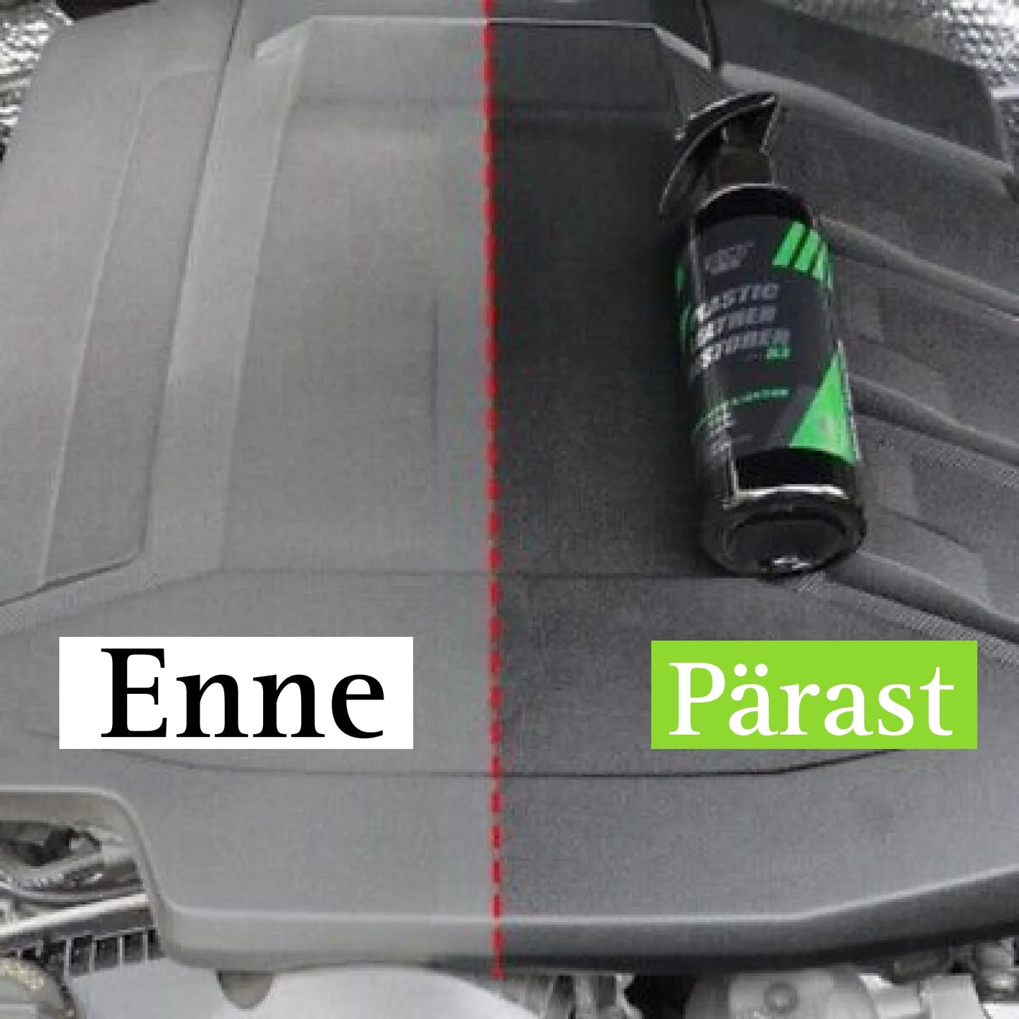 Naha ja plastiku restaureerija