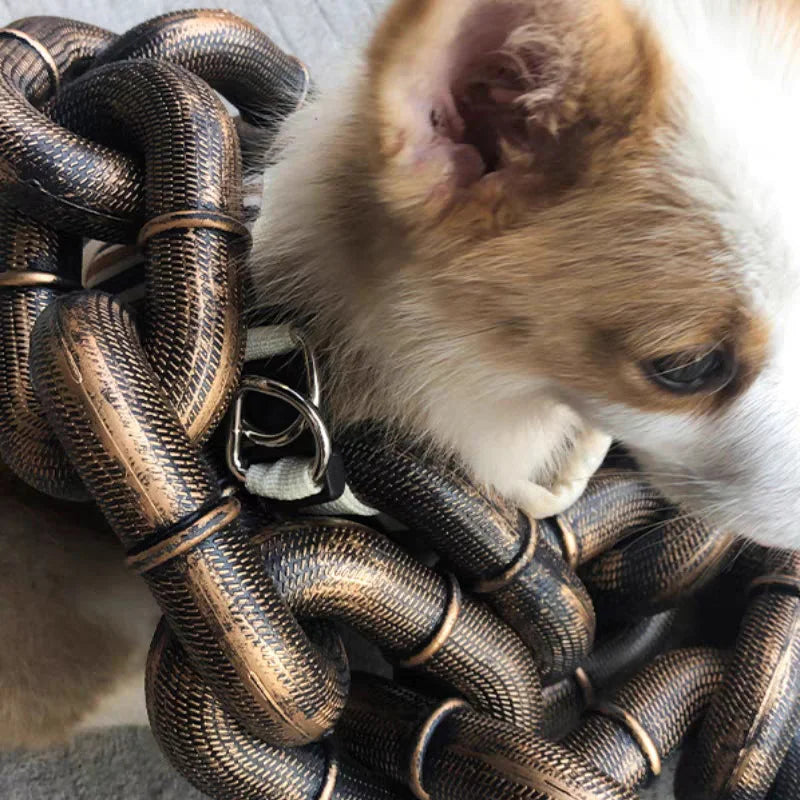 Naljakas suur koerarihm