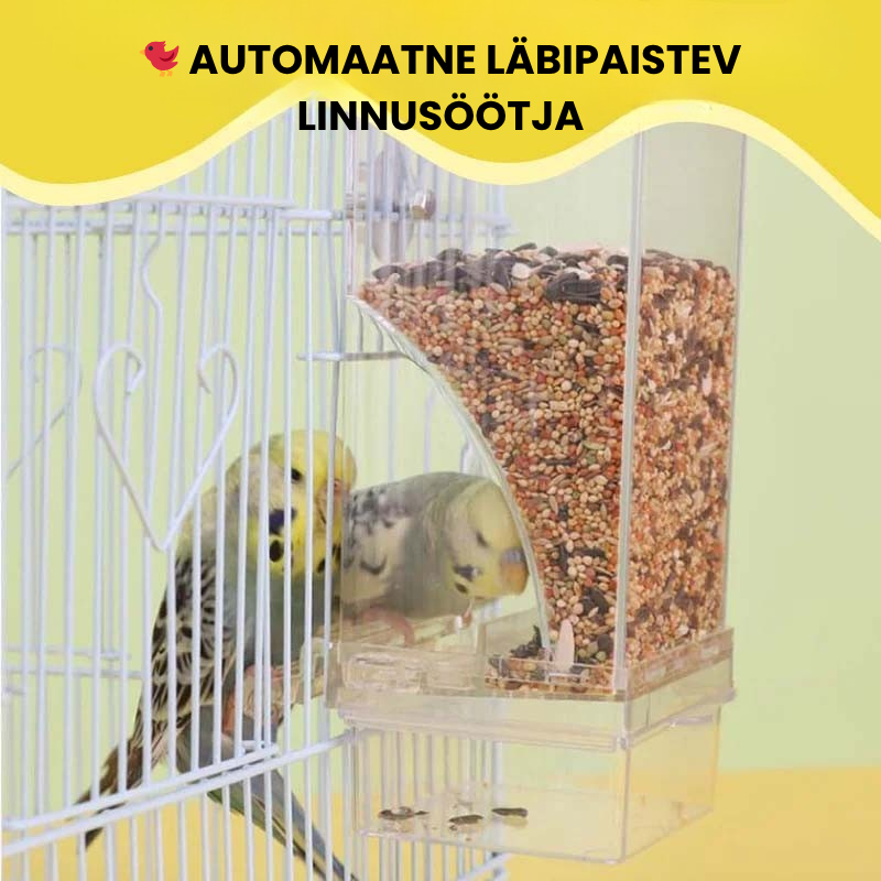 🐦 Automaatne läbipaistev linnutoidulaud