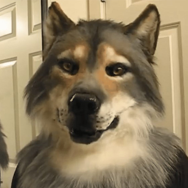 Hundi peapael