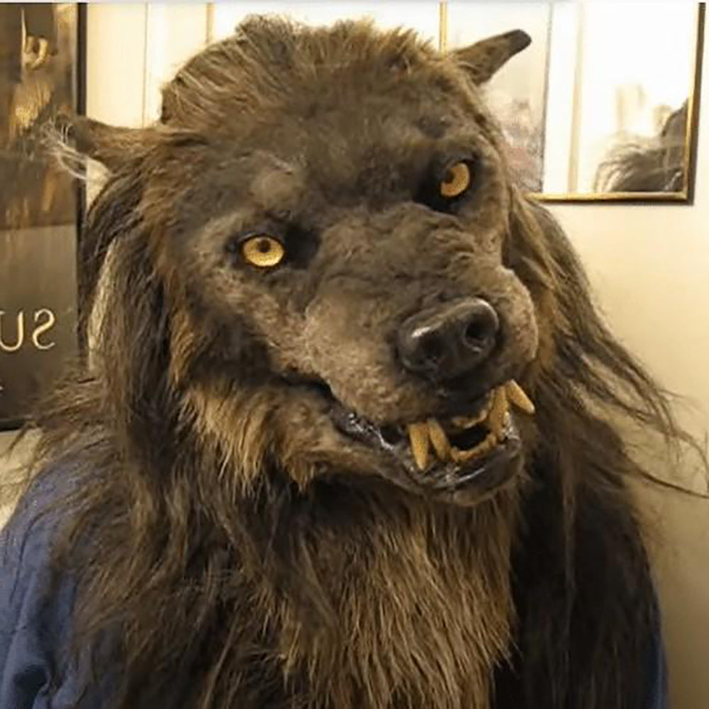Hundi peapael