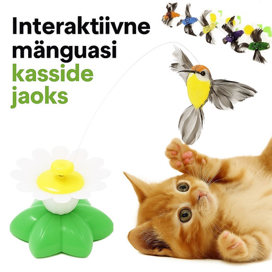 Interaktiivne kassimänguasi