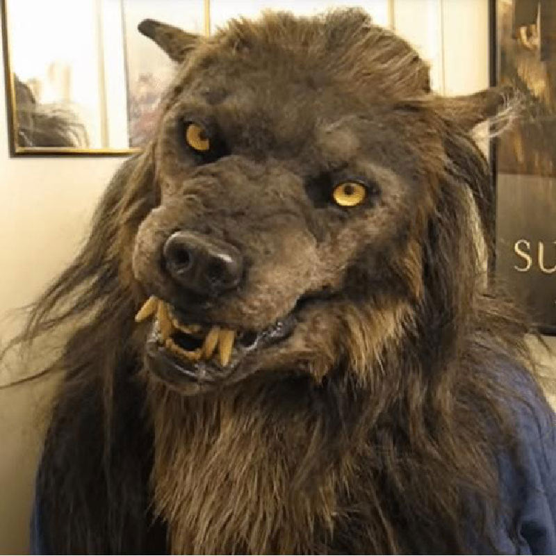 Hundi peapael