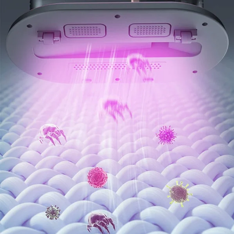 AntyBacter™ madratsi bakterite ja lutikate eemaldaja