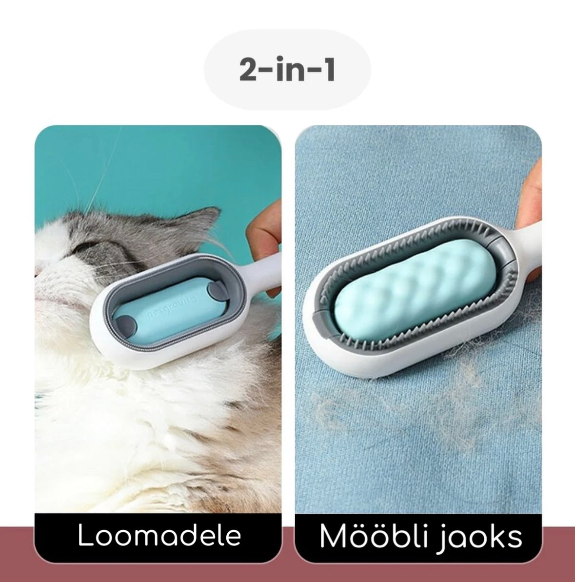 Karvahari lemmikloomadele