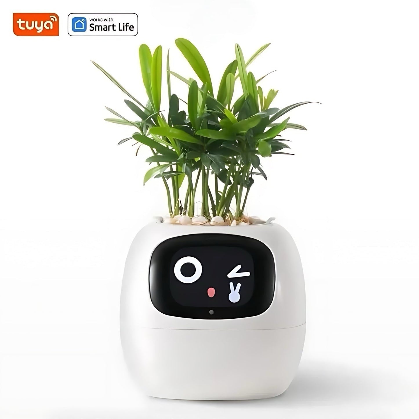 Happy Ivy™ – NUTIKAS pott automaatse taimede hooldussüsteemiga