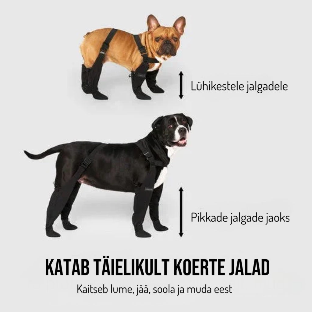 Soojad koera saapad