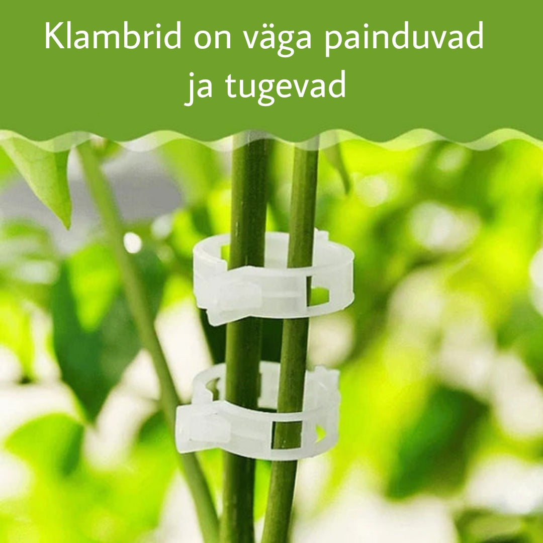 Taimede kinnitusklambrid