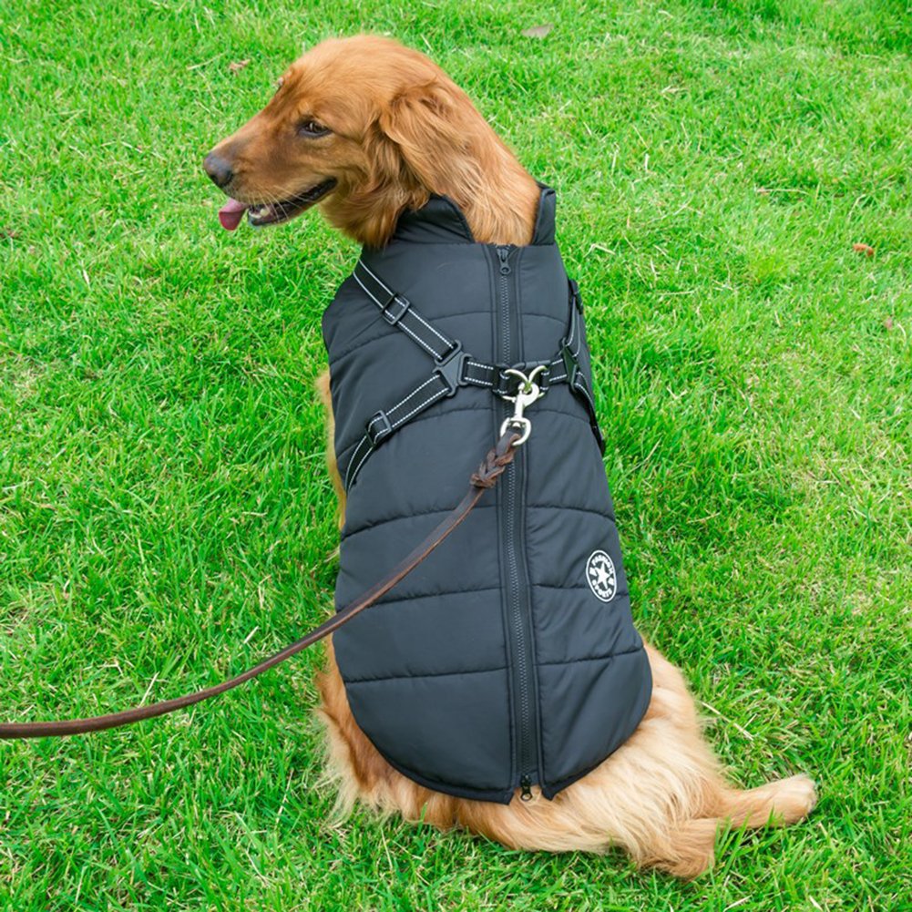 DogFashion™ - veekindel talvejope koos integreeritud traksidega koertele