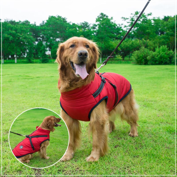 DogFashion™ - veekindel talvejope koos integreeritud traksidega koertele