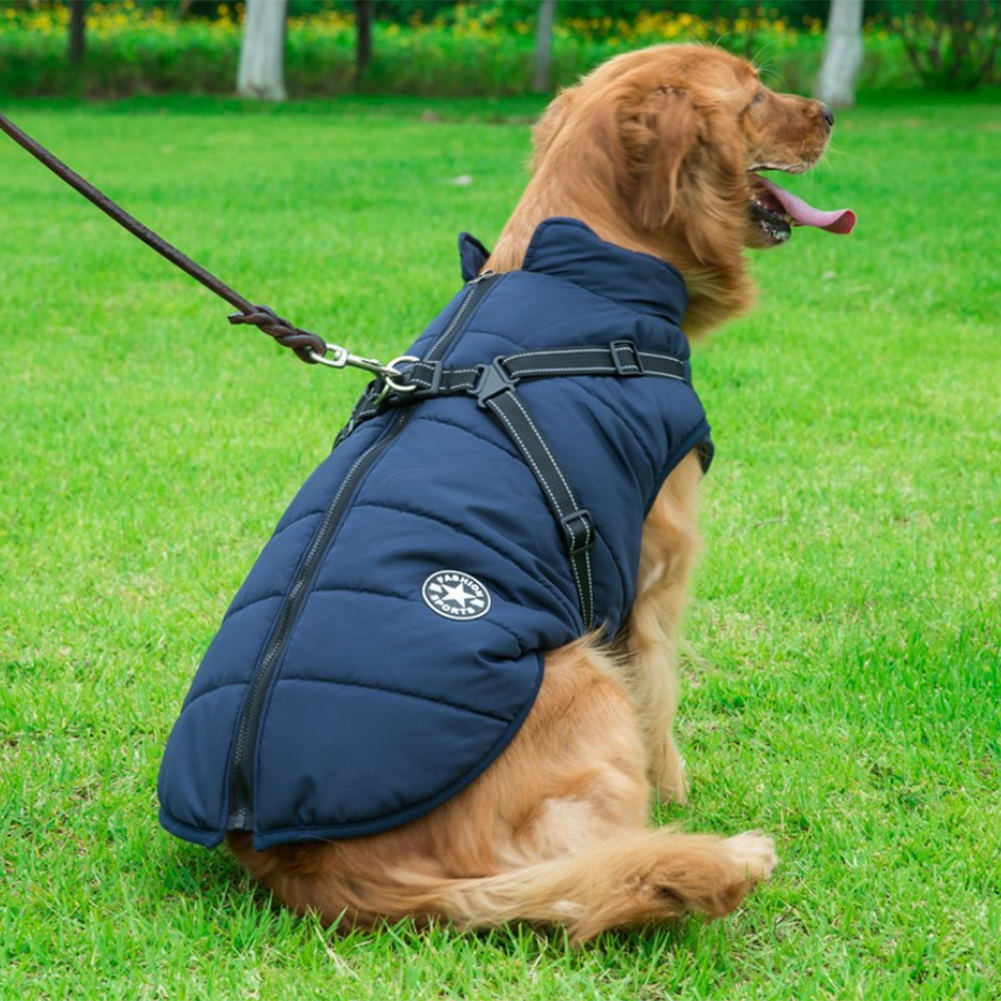 DogFashion™ - veekindel talvejope koos integreeritud traksidega koertele