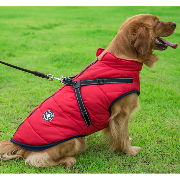 DogFashion™ - veekindel talvejope koos integreeritud traksidega koertele