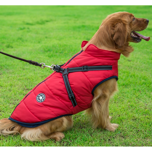 DogFashion™ - veekindel talvejope koos integreeritud traksidega koertele