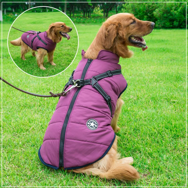 DogFashion™ - veekindel talvejope koos integreeritud traksidega koertele