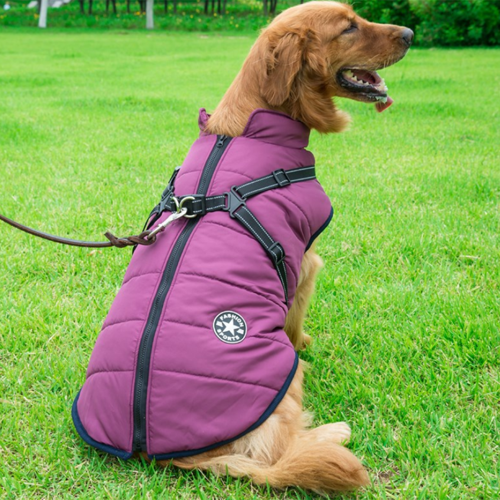DogFashion™ - veekindel talvejope koos integreeritud traksidega koertele