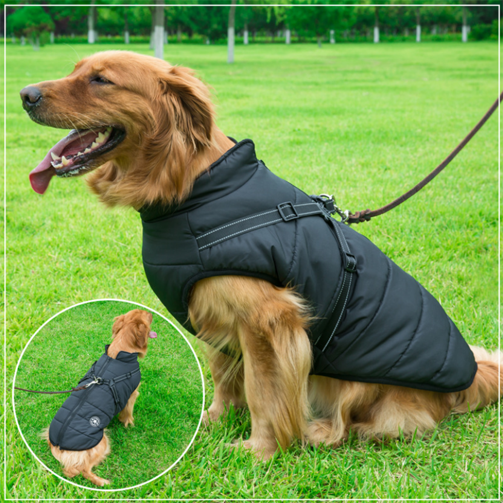 DogFashion™ - veekindel talvejope koos integreeritud traksidega koertele