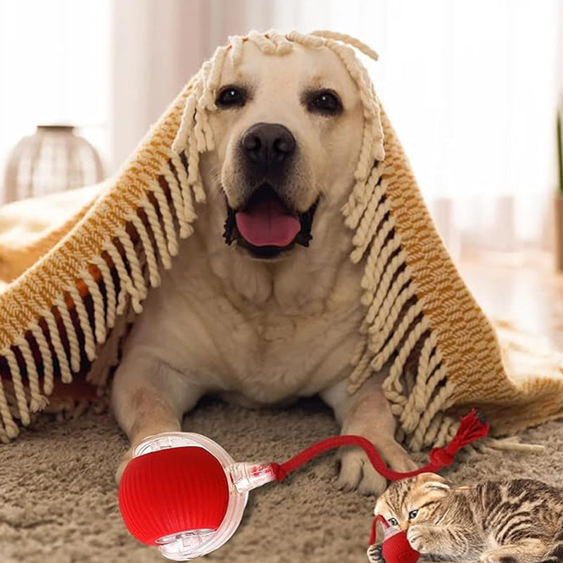 Tark automaatselt veerev lemmikloomade pall