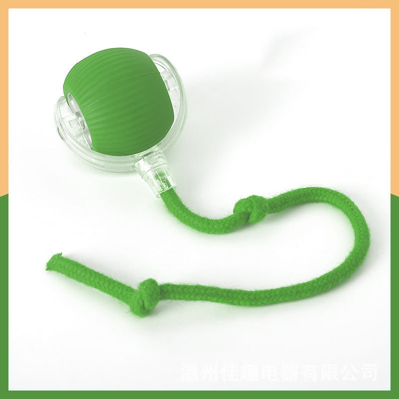 Tark automaatselt veerev lemmikloomade pall