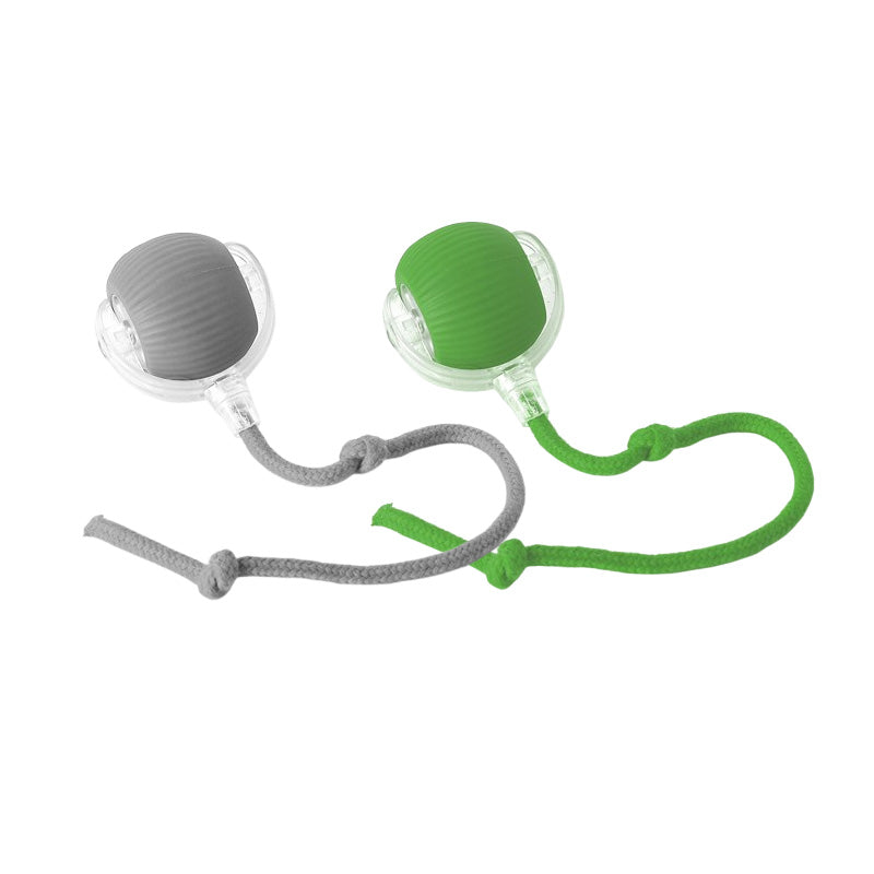 Tark automaatselt veerev lemmikloomade pall