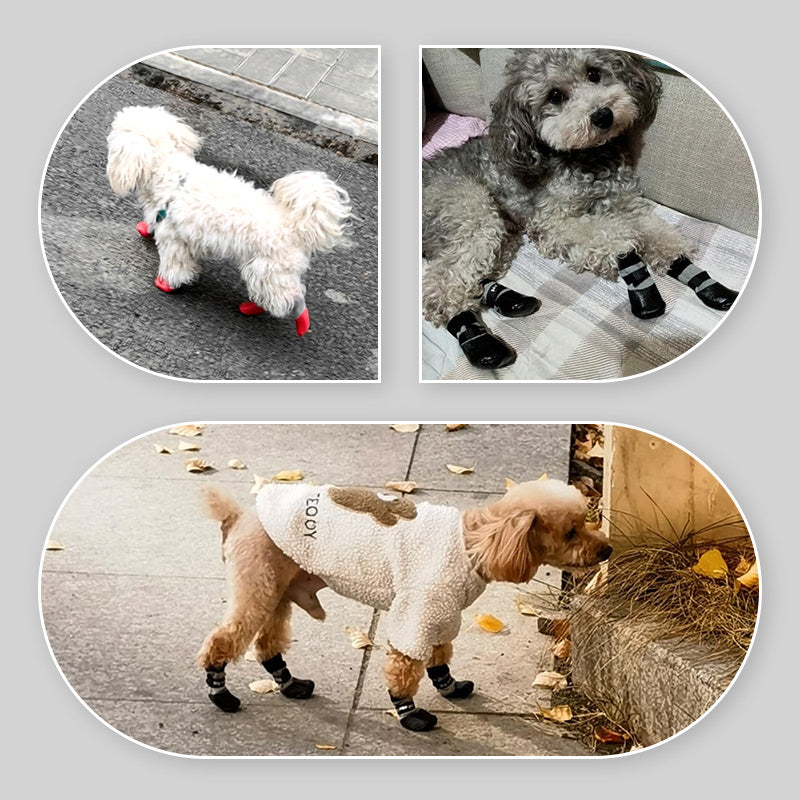 🔹 Libisemiskindlad ja veekindlad koerte jalanõud