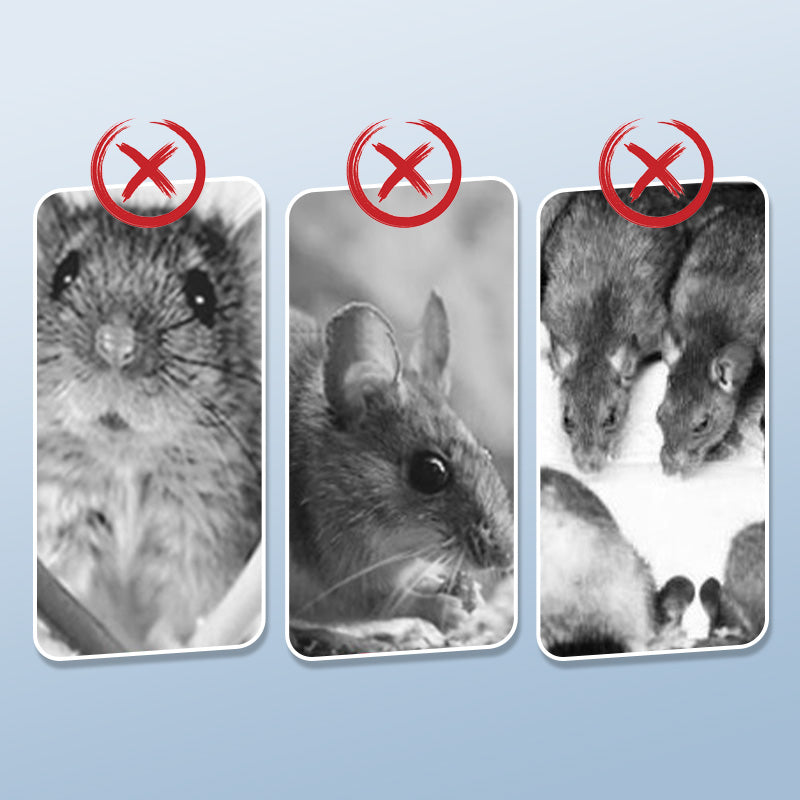 Korduvkasutatavad rotilõksud ülitäpse mehhanismiga